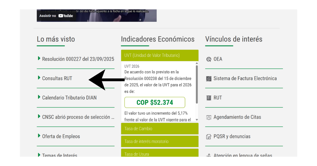 Magasol Rut ¿Cómo consultar, actualizar y descargar el RUT en línea?